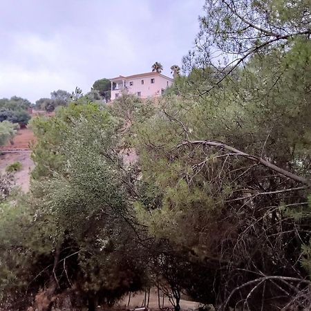 Casa Rural En El Campo Con Animales, Piscina Y Barbacoa Almodóvar del Río Dış mekan fotoğraf