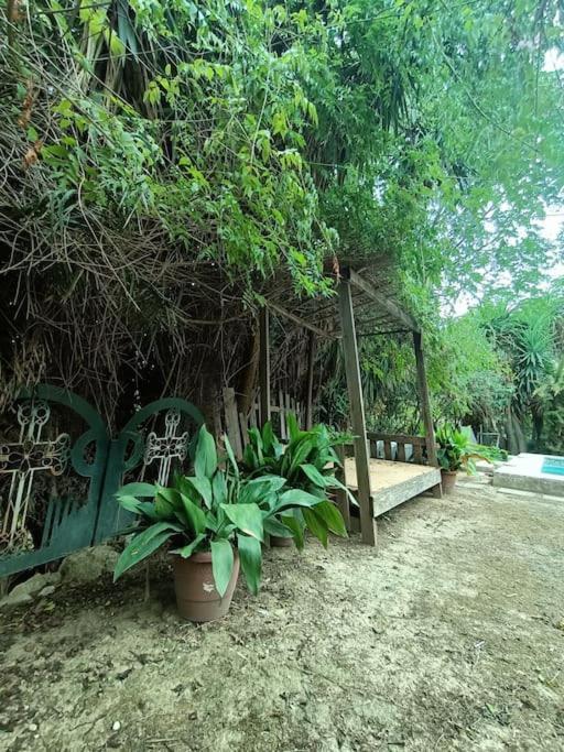 Casa Rural En El Campo Con Animales, Piscina Y Barbacoa Almodóvar del Río Dış mekan fotoğraf