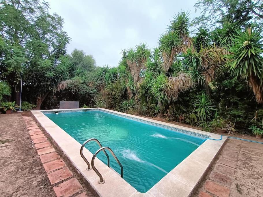 Casa Rural En El Campo Con Animales, Piscina Y Barbacoa Almodóvar del Río Dış mekan fotoğraf