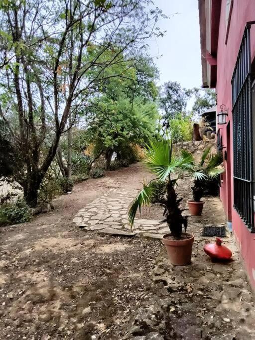 Casa Rural En El Campo Con Animales, Piscina Y Barbacoa Almodóvar del Río Dış mekan fotoğraf