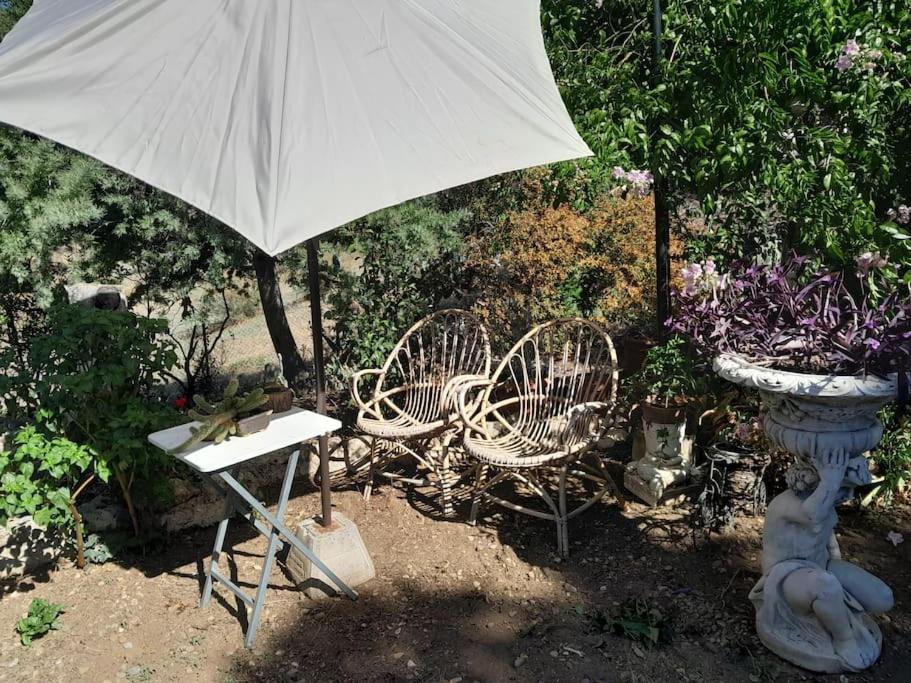 Casa Rural En El Campo Con Animales, Piscina Y Barbacoa Almodóvar del Río Dış mekan fotoğraf